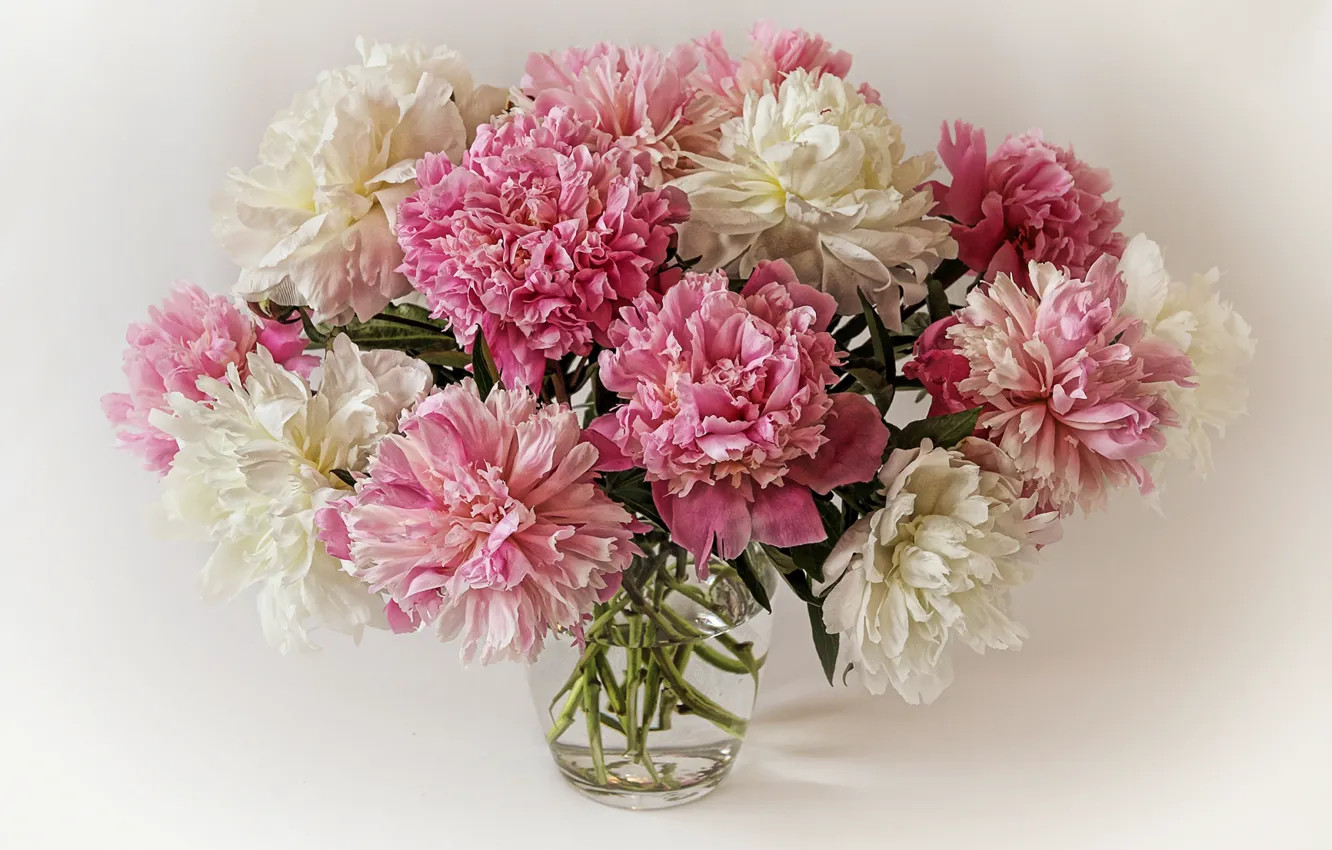 Photo wallpaper background, bouquet, peonies