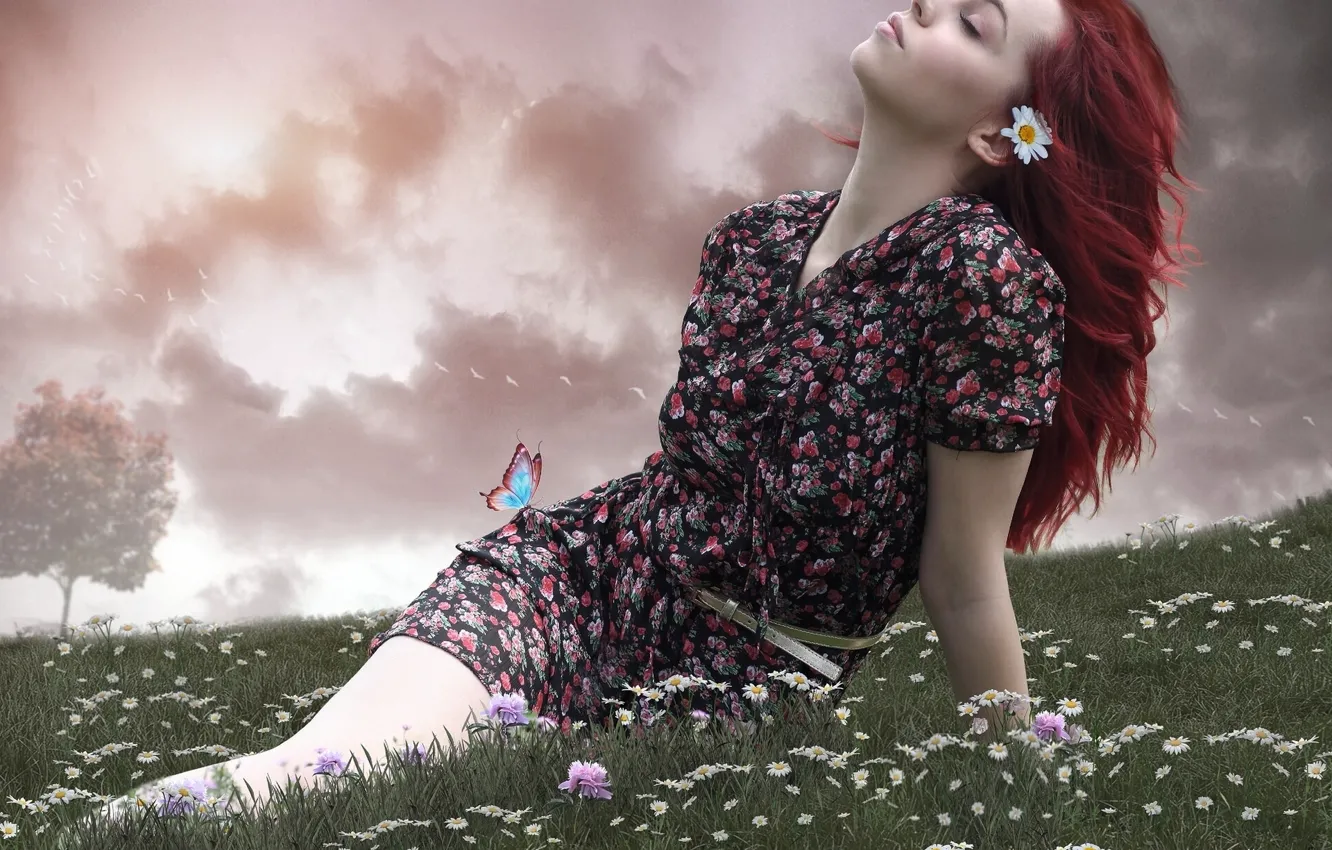 Photo wallpaper girl, flowers, mood, butterfly, chamomile, meadow