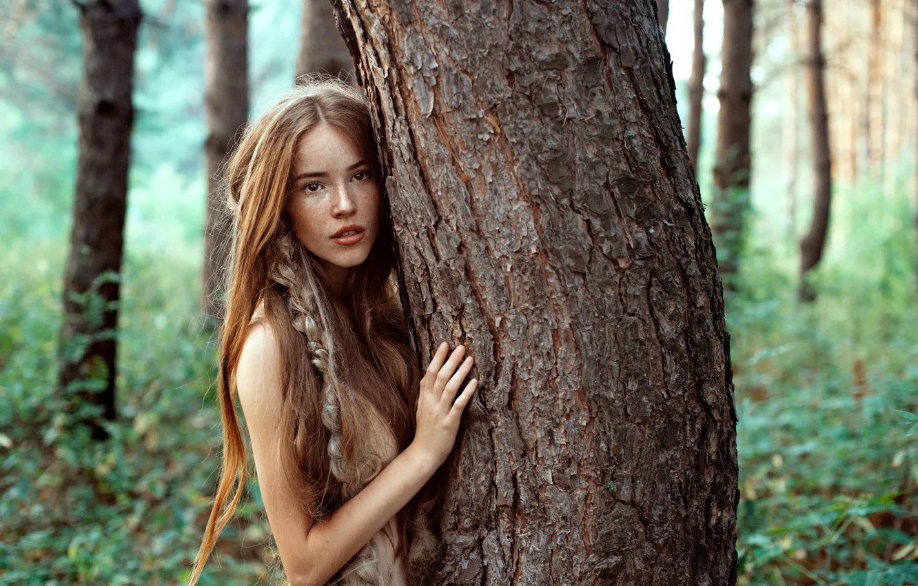 Photo wallpaper forest, girl, trees, nature, freckles, trunk, braid, red