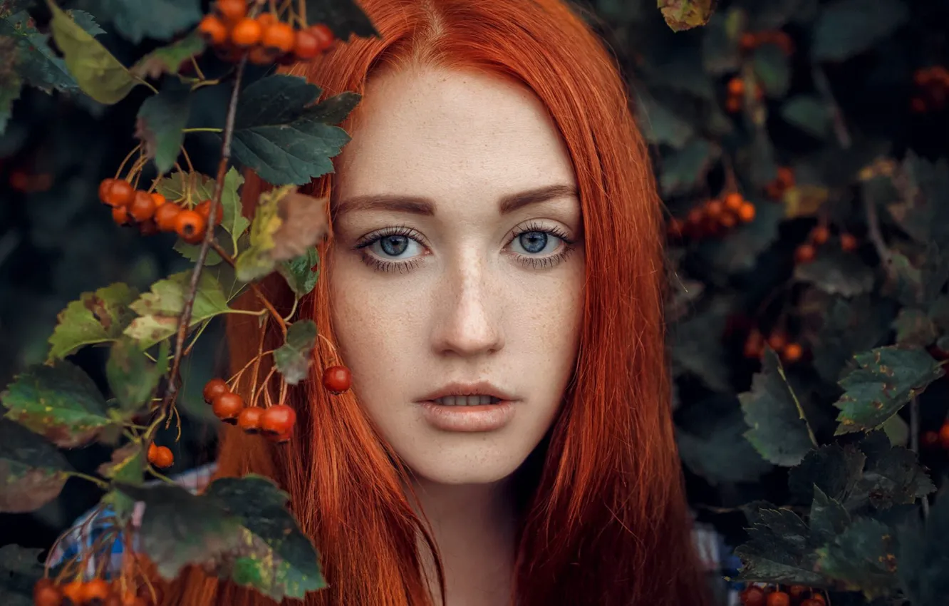 Wallpaper portrait, look, branch, freckles, red, Hakan Erenler, berries ...