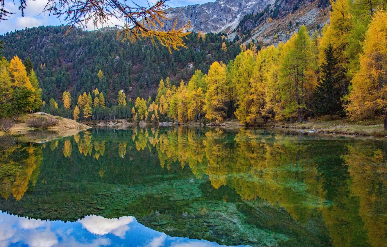Photo wallpaper autumn, forest, lake