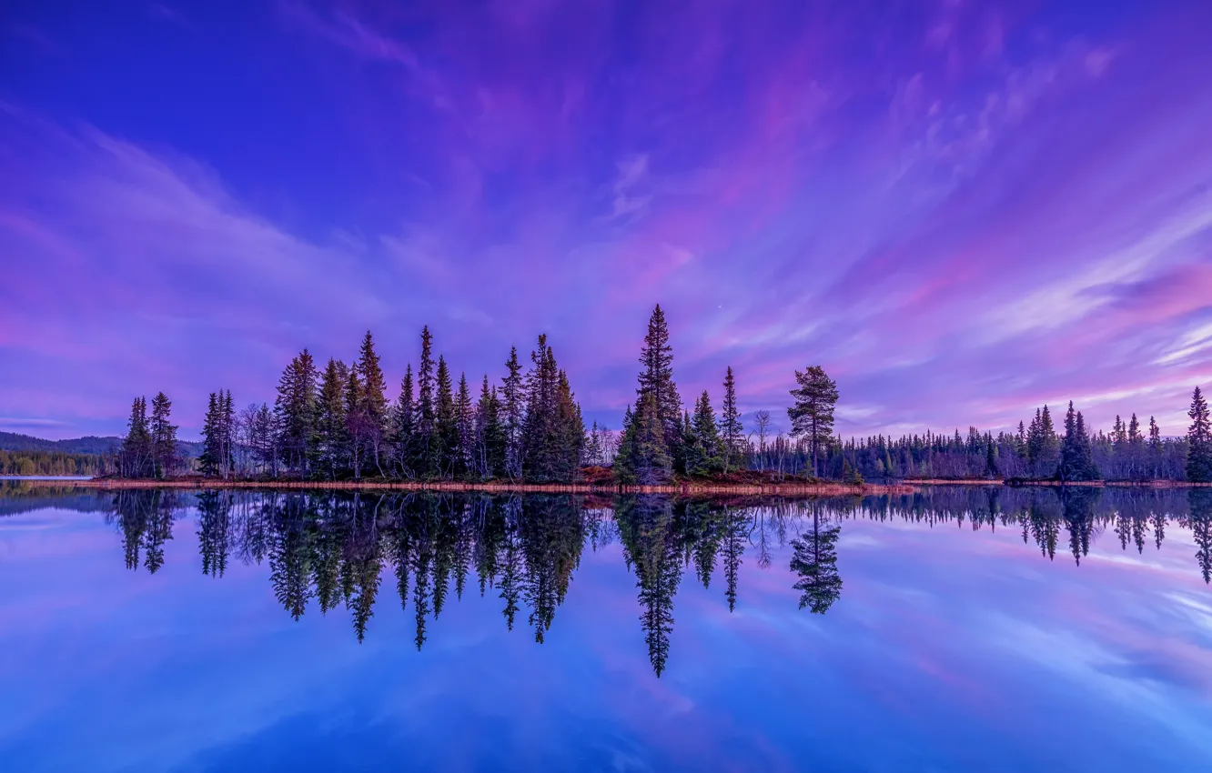 Photo wallpaper trees, reflection, Norway, Hemsedal