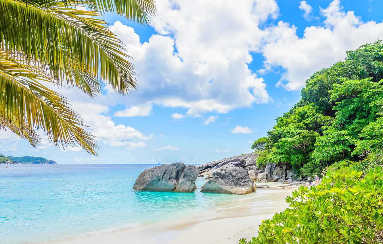 Photo wallpaper sand, sea, beach, summer, the sky, palm trees, summer, beach