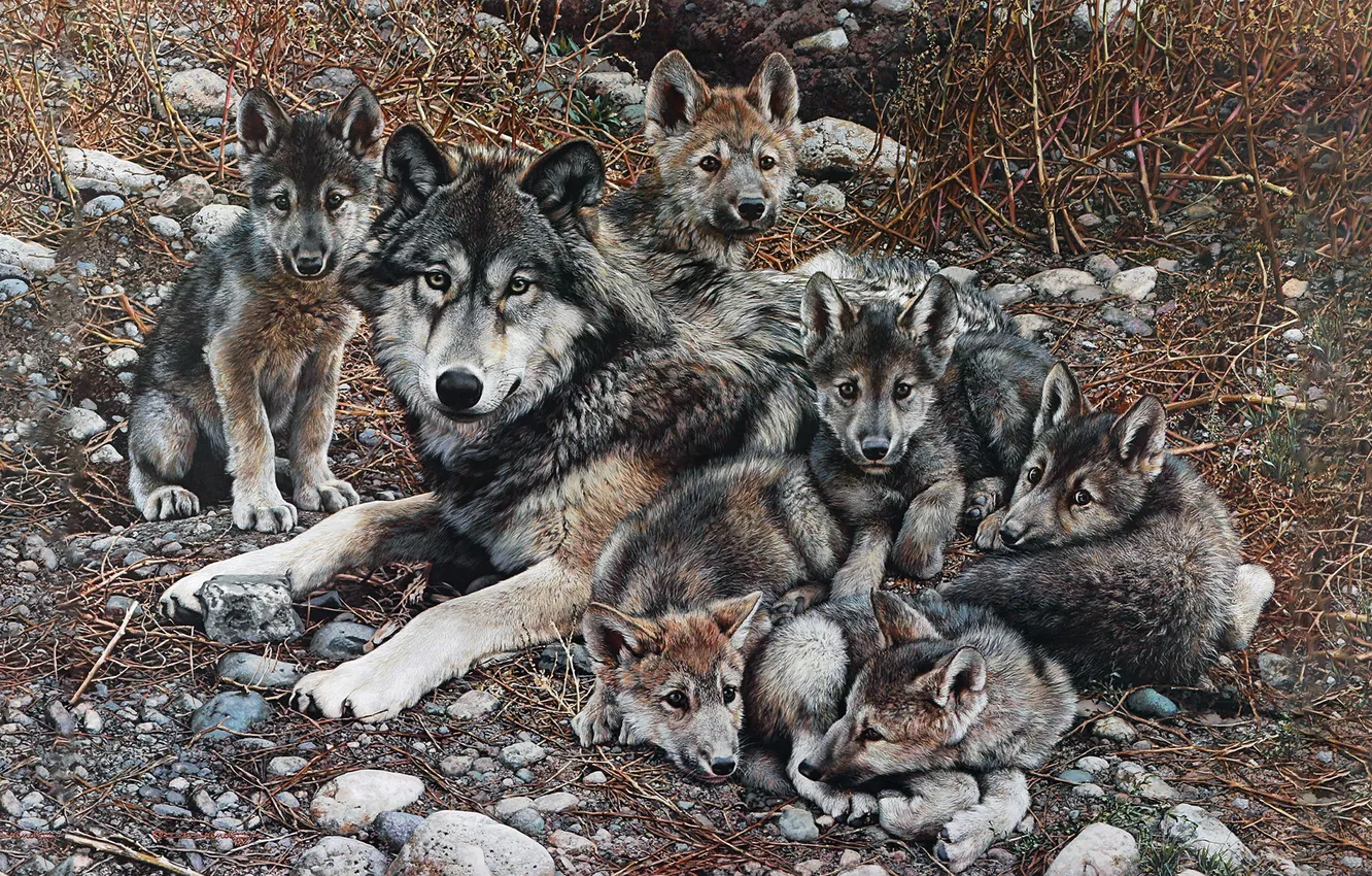 Photo wallpaper wolf, family, the cub