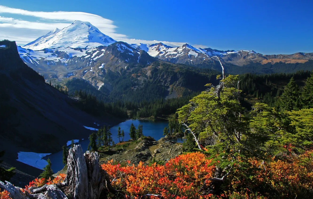 Photo wallpaper trees, mountains, lake, valley