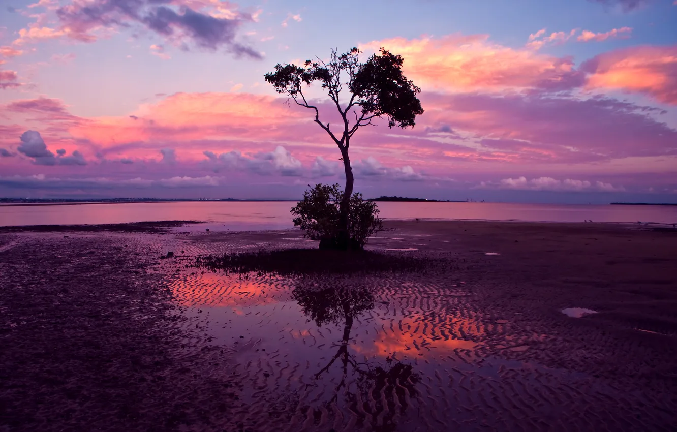 Photo wallpaper the sky, clouds, trees, sunset, shore, Bay