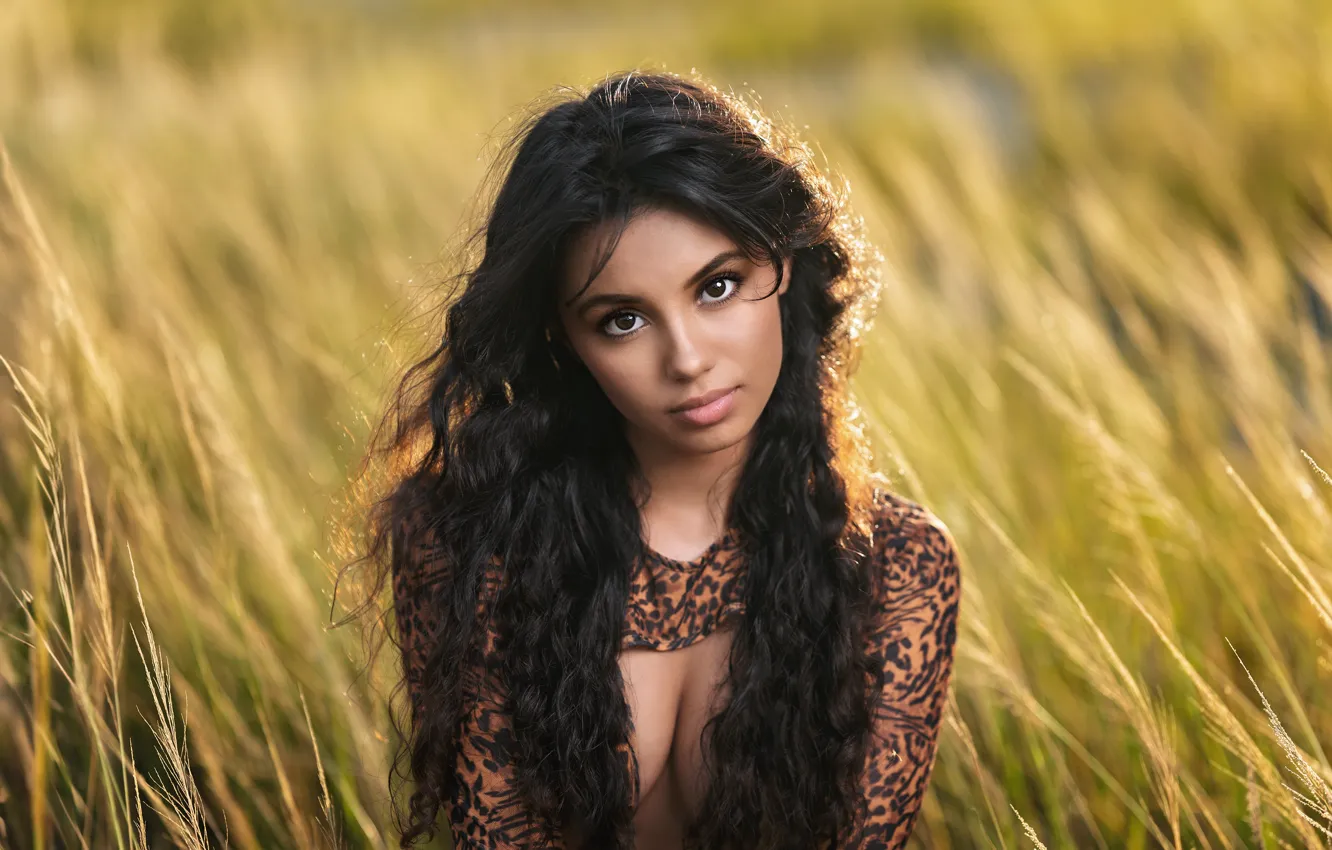 Photo wallpaper look, girl, face, portrait, brunette, curls, long hair, Rachel