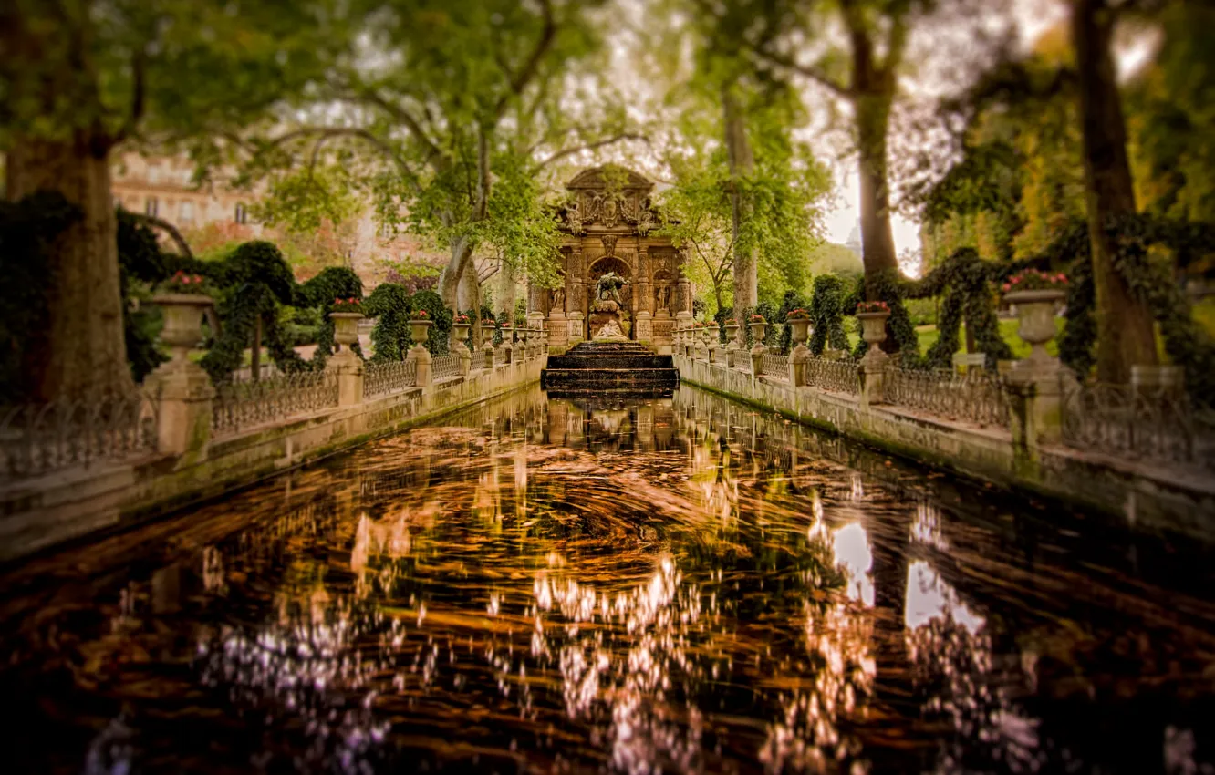 Photo wallpaper trees, reflection, France, Paris, garden, mirror, the Medici fountain