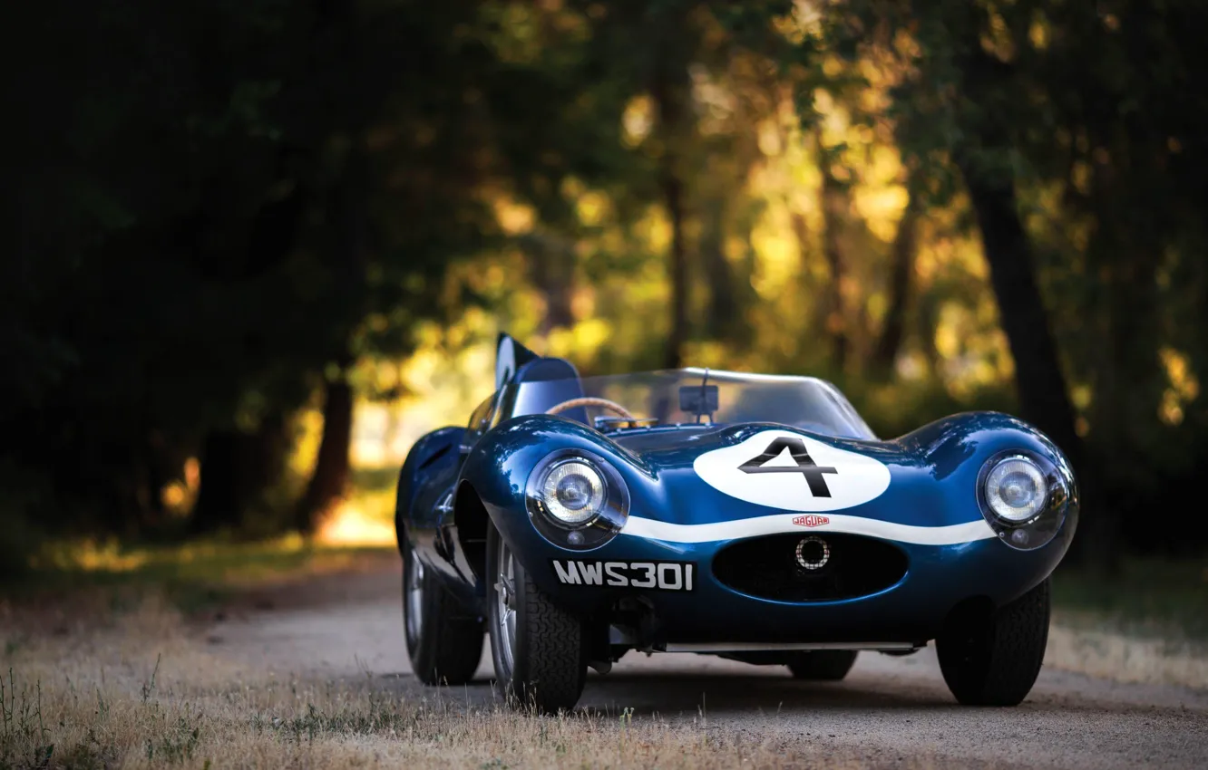 Photo wallpaper Blue, Race Car, Number, Jaguar D-Type