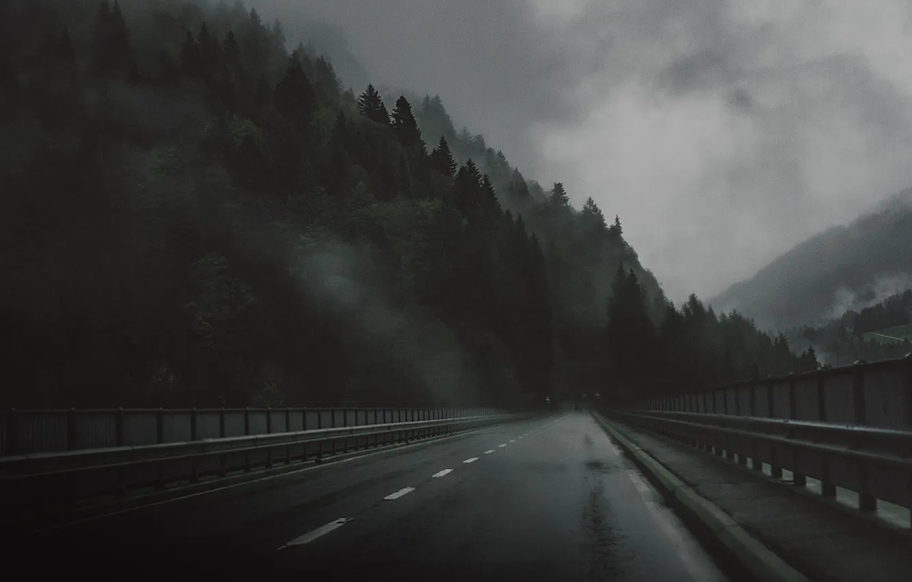 Photo wallpaper Road, Bridge, Forest, Sadness, The darkness, Rain, Darkness, Bridge