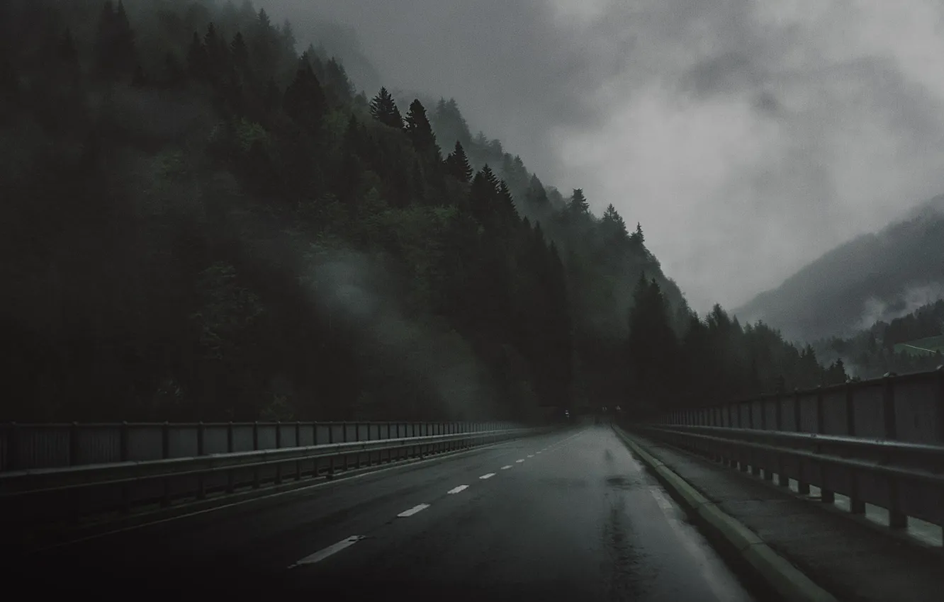 Photo wallpaper road, sadness, forest, bridge, rain, the darkness, the atmosphere, haze