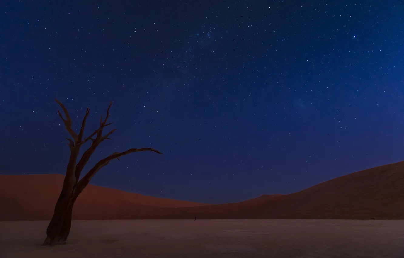 Photo wallpaper the sky, stars, desert, dunes, sky, desert, stars, dunes