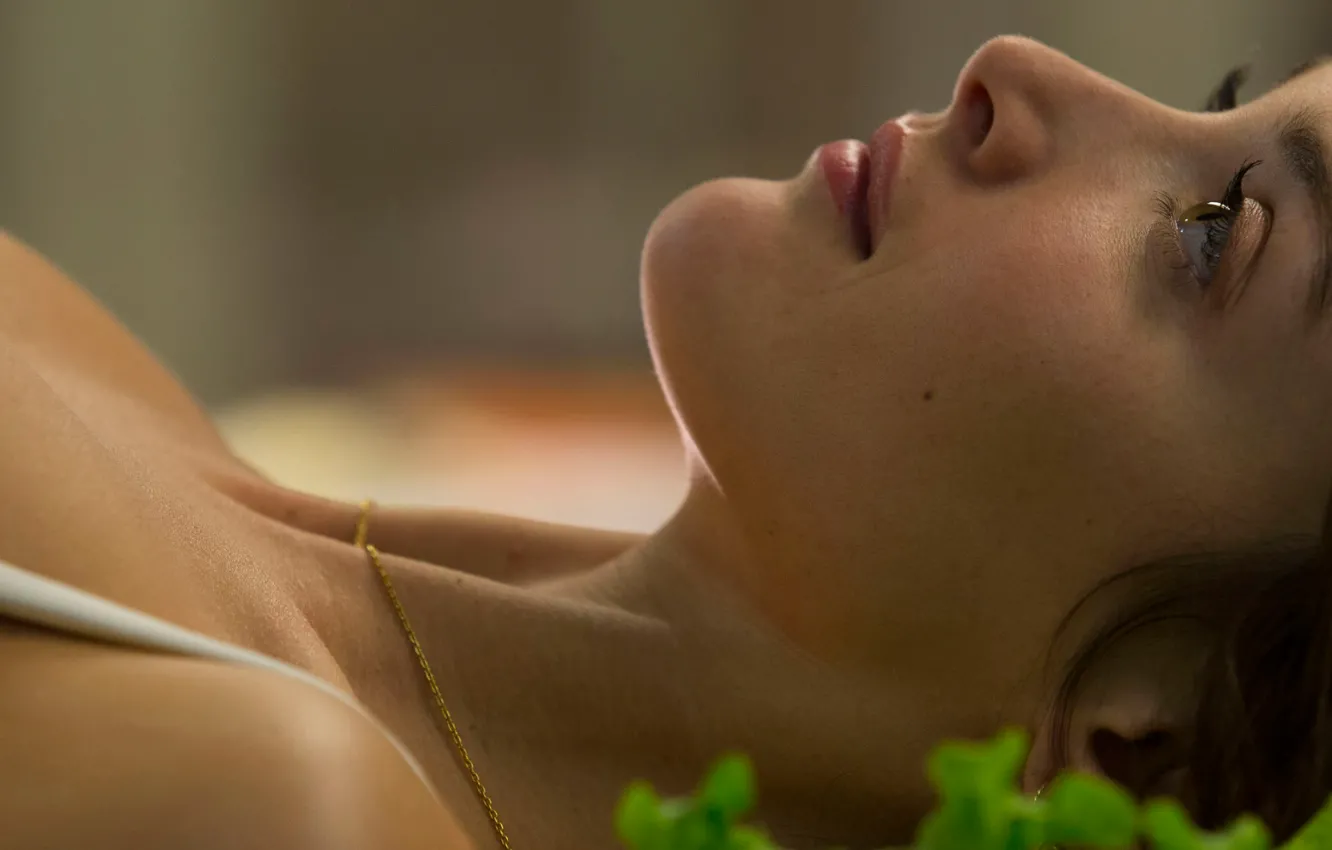 Photo wallpaper 2014, The Hundred-Foot Journey, Spice and passion, Charlotte The Good