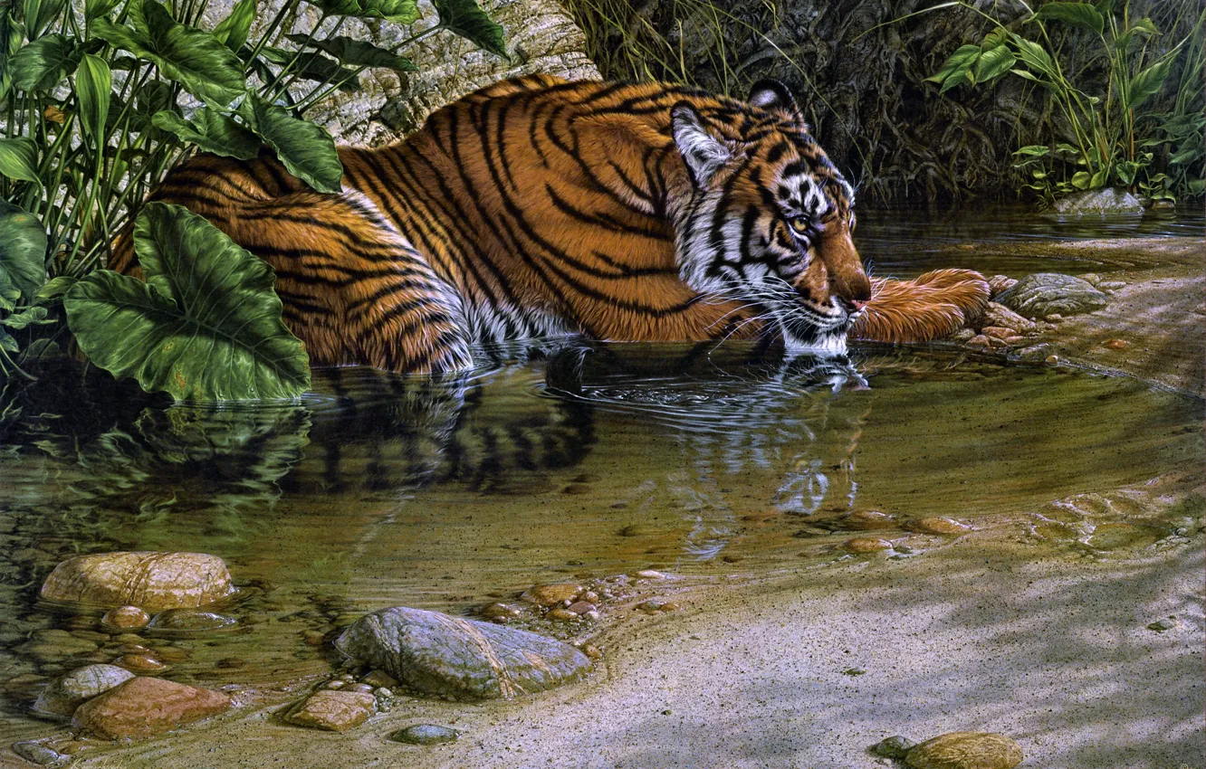 Photo wallpaper jungle, tiger, cat, painting, Lee Kromschroeder, thirsty, stream, beast of prey