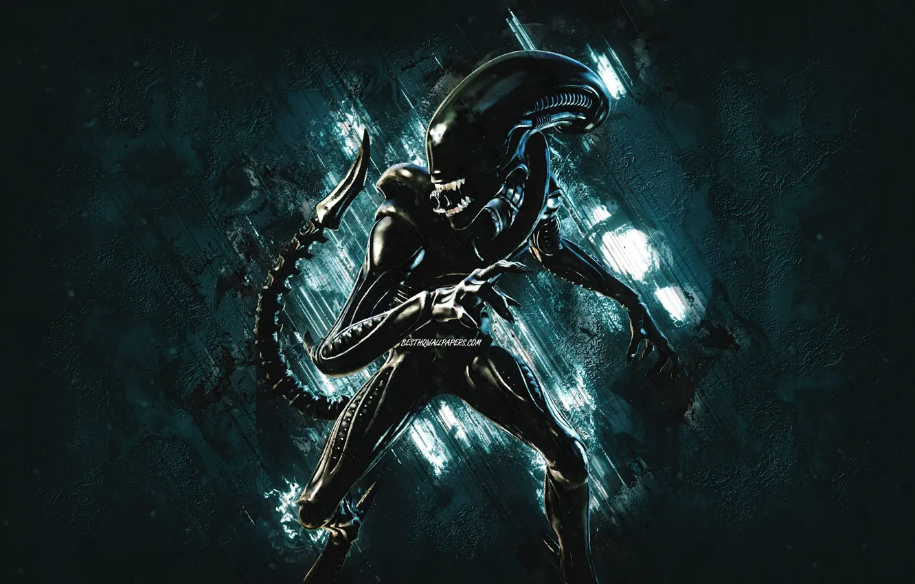 Photo wallpaper monster, Stranger, alien, Xenomorph