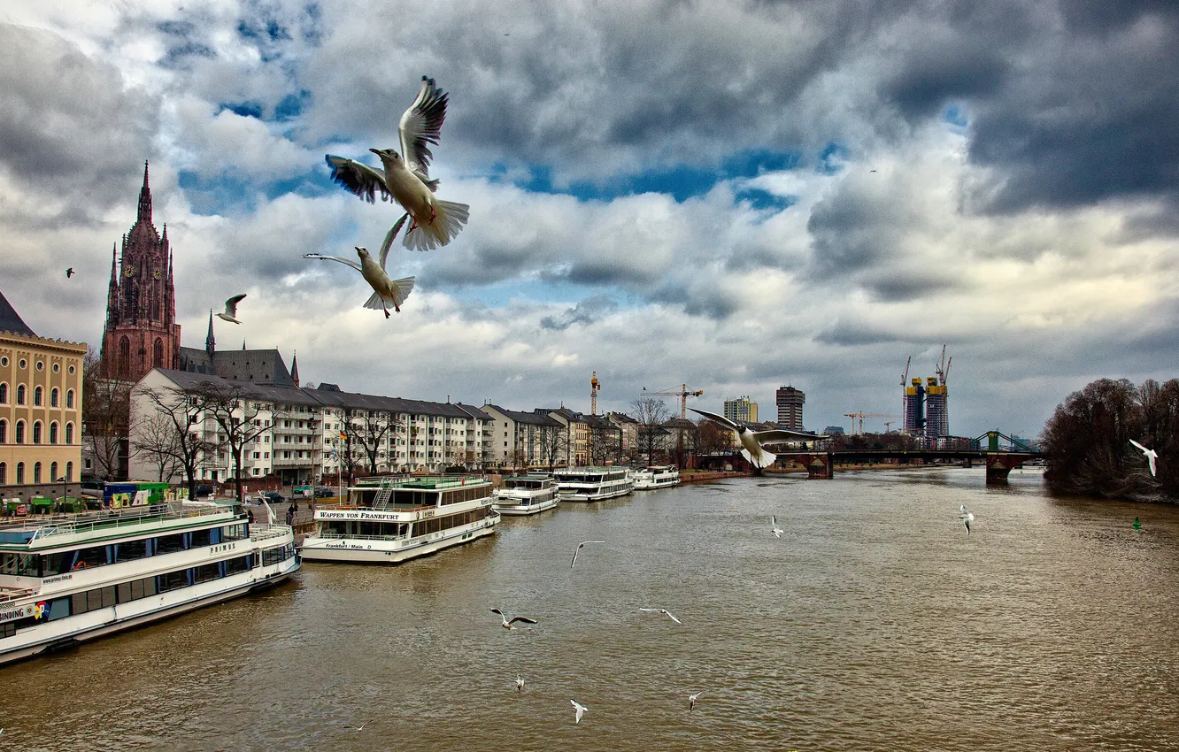 Photo wallpaper the sky, clouds, bridge, river, bird, ship, home, Germany