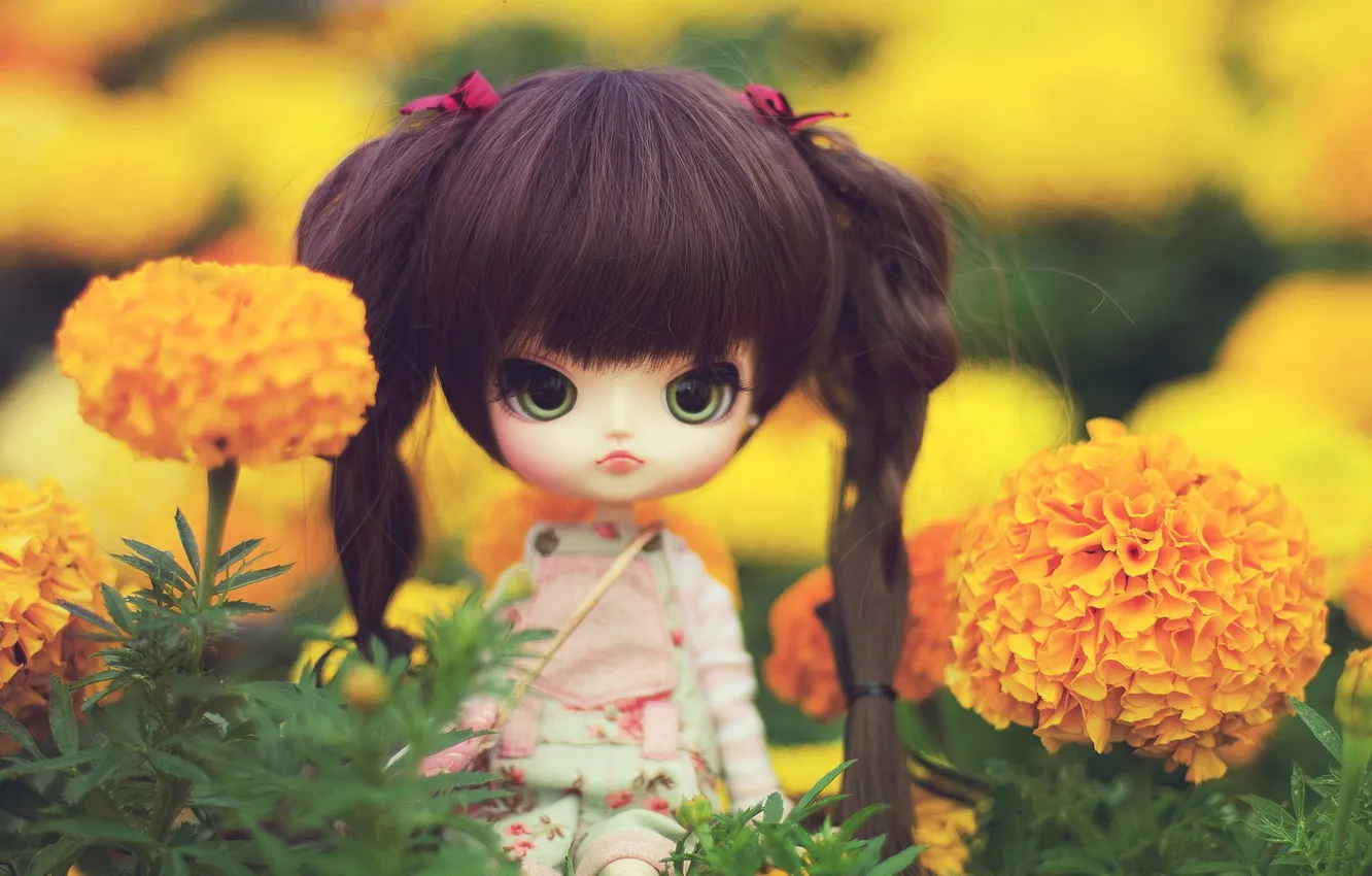 Photo wallpaper flowers, toy, doll, brunette, braids, sitting