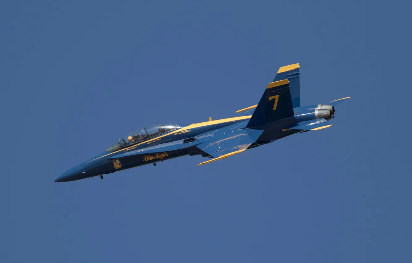 Photo wallpaper flight, aviation, the plane, Blue Angels
