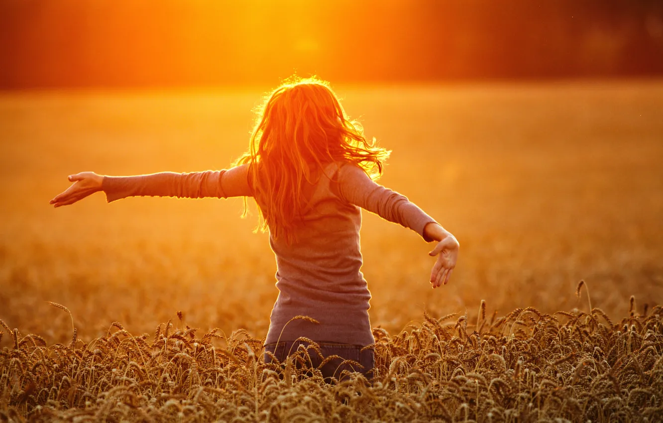 Photo wallpaper wheat, field, landscape, sunset, nature, Girl