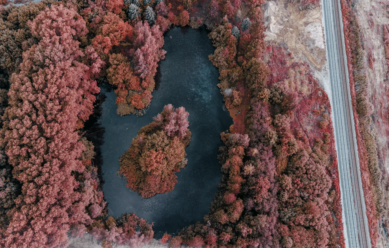 Photo wallpaper Landscape, Lake, Forest, Drone, Fly