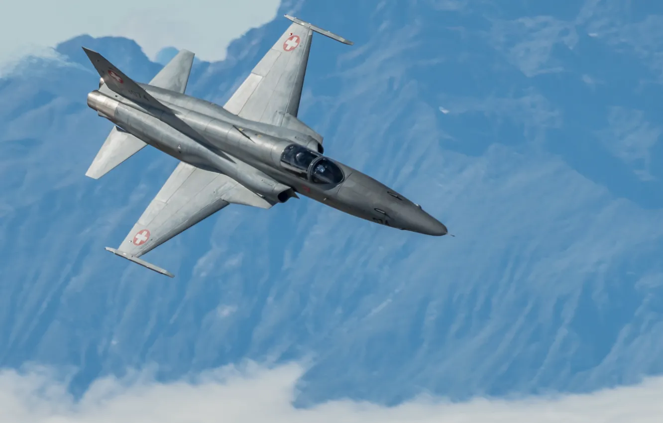 Photo wallpaper flight, fighter, multipurpose, Tiger II, easy, F-5, Tiger II