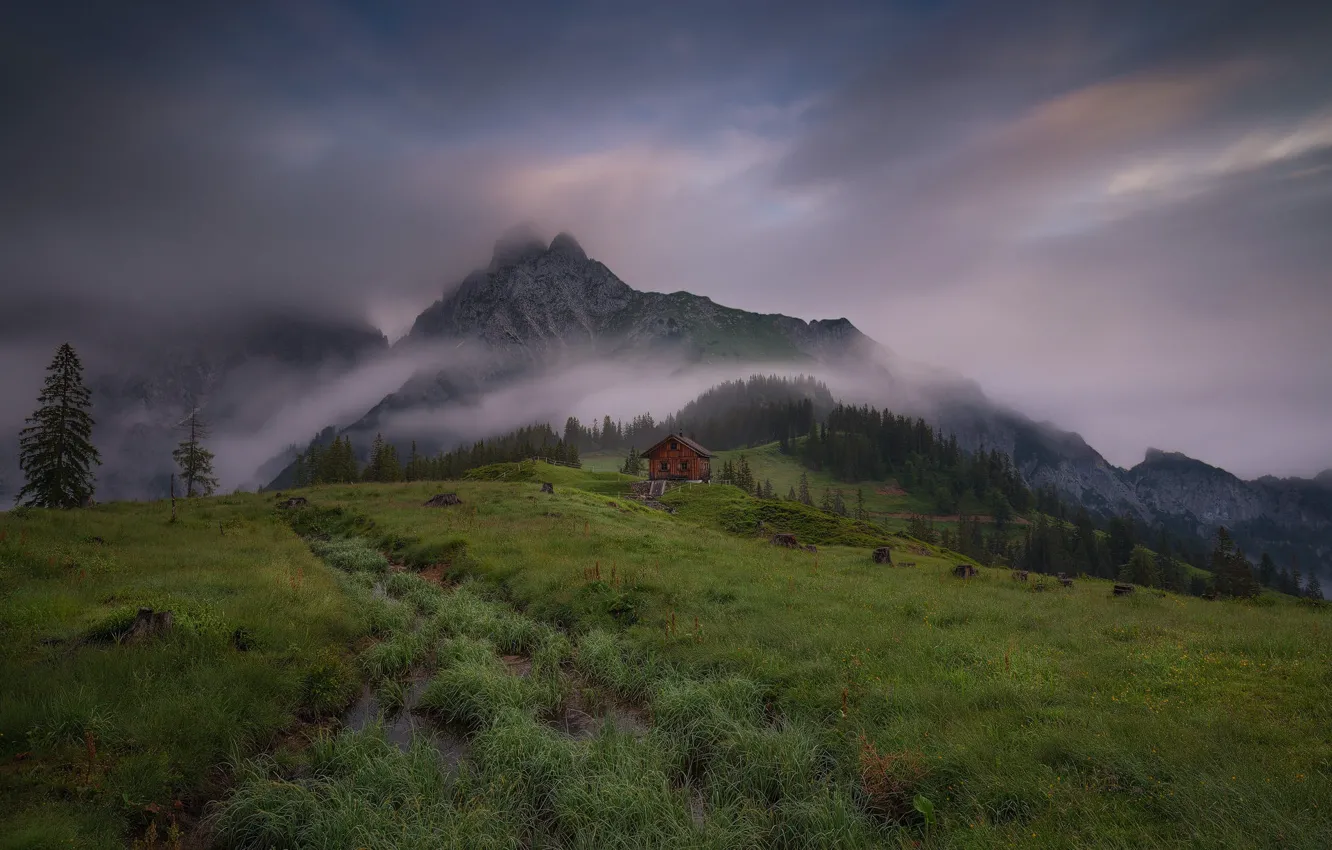 Photo wallpaper forest, mountains, Alps, house