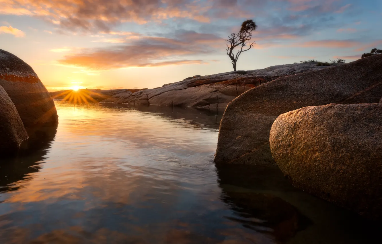 Photo wallpaper sunset, stones, tree, rocks, pond