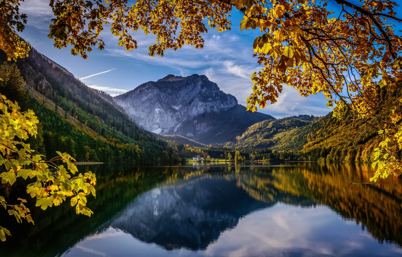 Photo wallpaper autumn, mountains, branches, lake, reflection, Austria, Alps, Austria