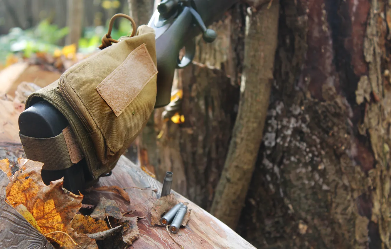 Photo wallpaper autumn, weapons, sniper, rifle, sniper, 2017, M24