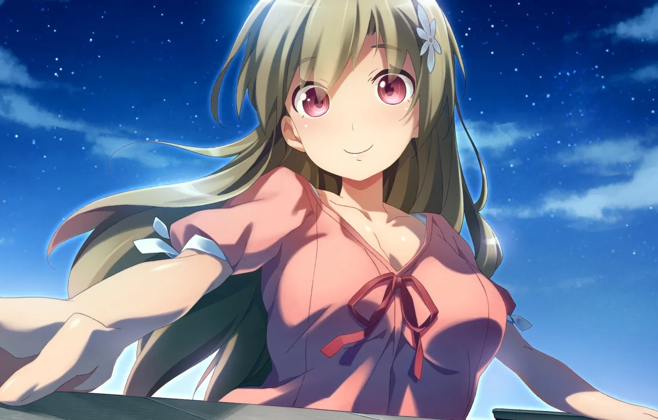 Photo wallpaper the sky, girl, stars, clouds, flowers, night, smile, anime