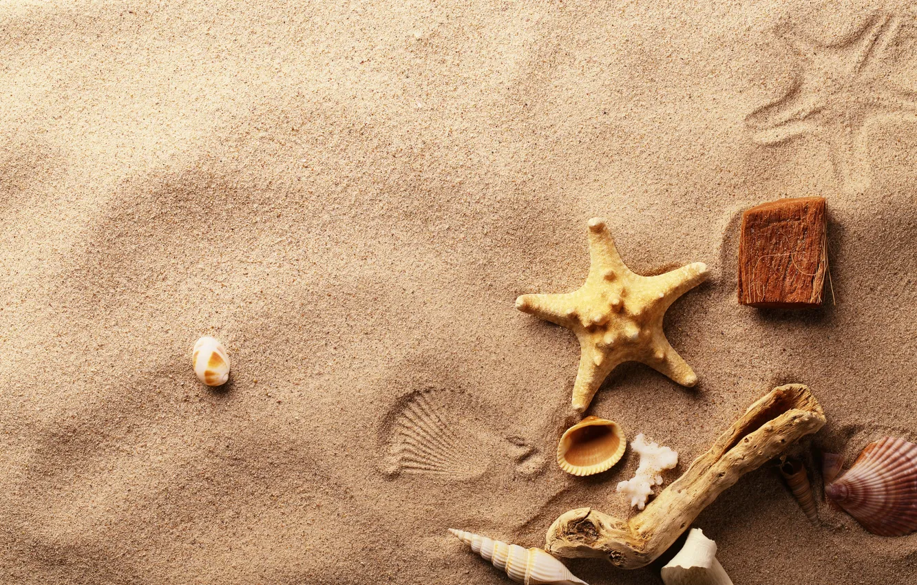 Photo wallpaper sand, traces, shell, starfish, wood