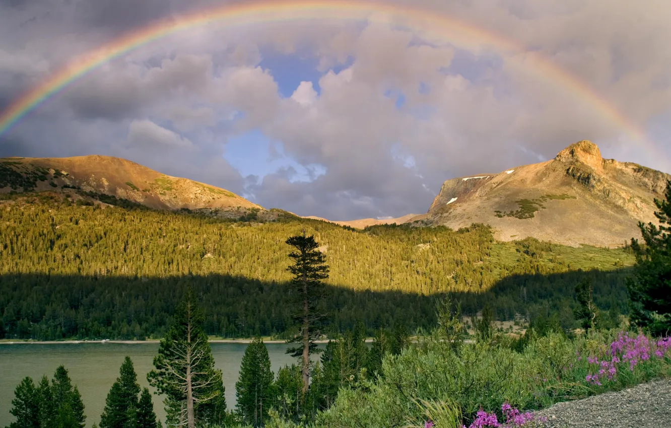 Photo wallpaper clouds, trees, flowers, mountains, nature, rainbow
