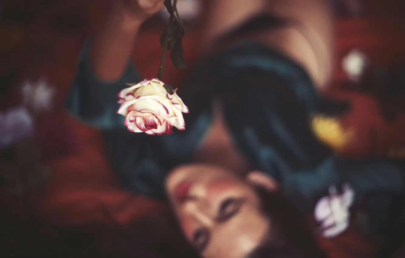 Photo wallpaper girl, background, roses