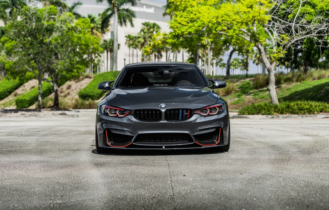 Photo wallpaper BMW, Front, face, Sight, F83, Evel