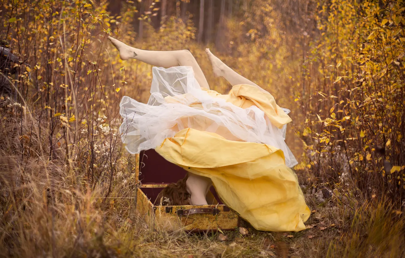 Photo wallpaper autumn, forest, girl, dress, suitcase, feet up