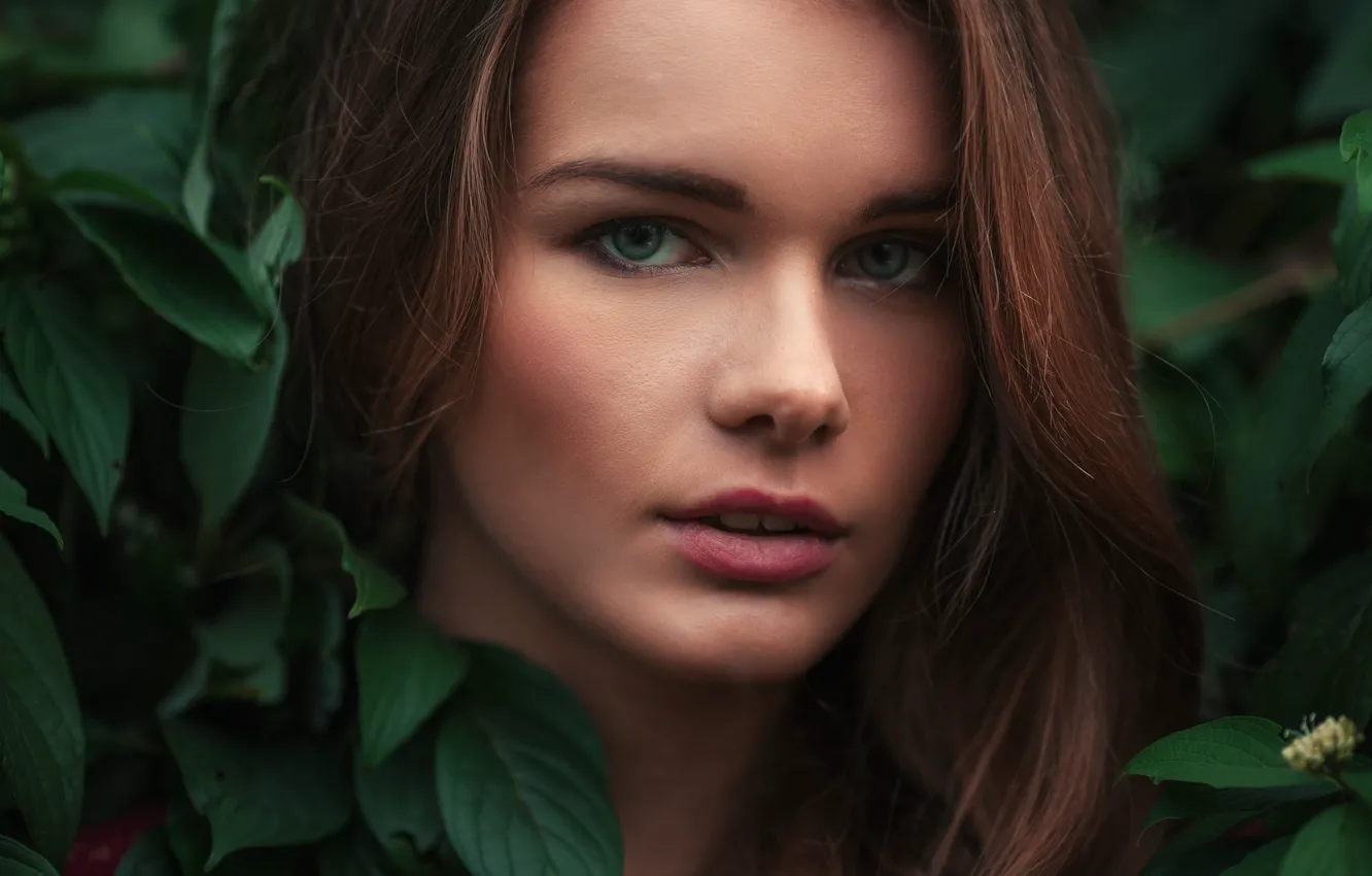 Wallpaper greens, look, girl, face, foliage, portrait, makeup ...