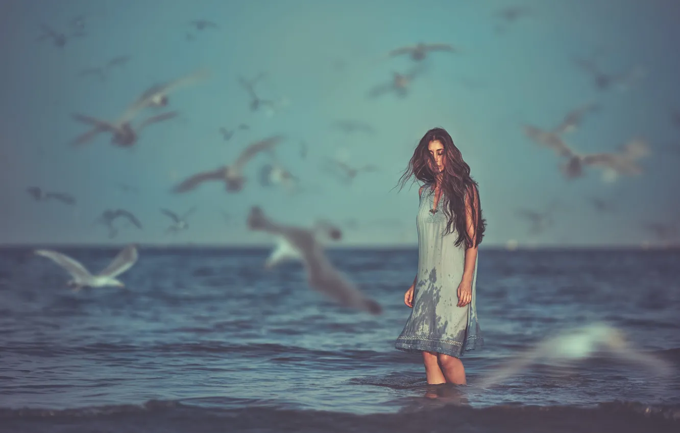 Photo wallpaper SEA, HORIZON, The OCEAN, The SKY, FLIGHT, MOOD, PACK, BIRDS