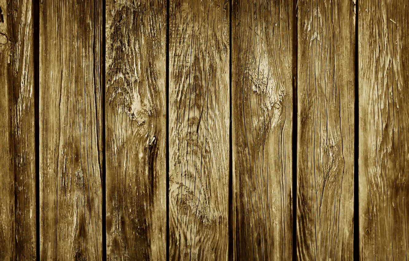 Photo wallpaper macro, tree, Board, texture, texture