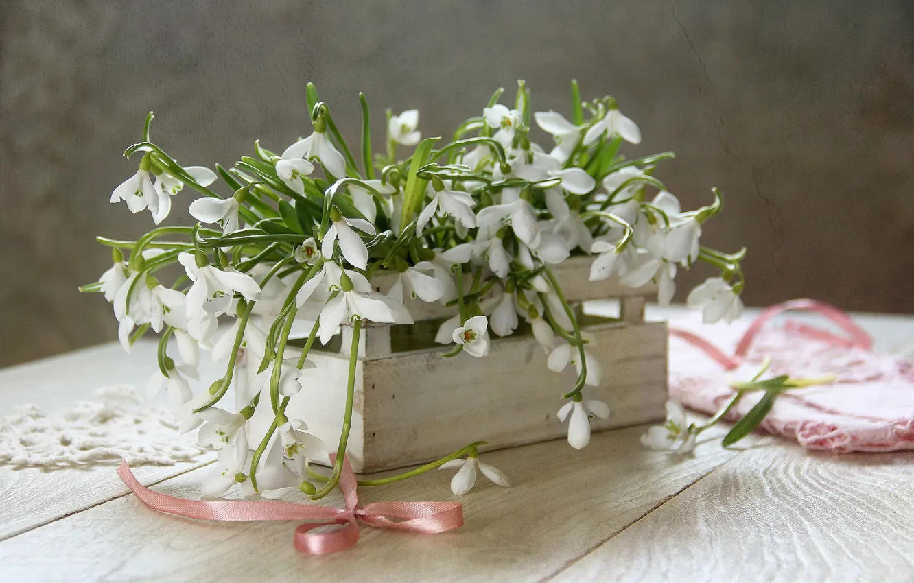 Photo wallpaper spring, snowdrops, box, bow