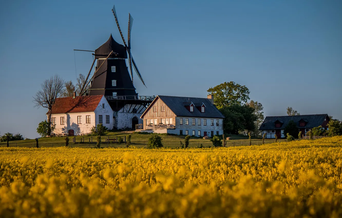 Photo wallpaper field, home, mill, Sweden, Burlöv