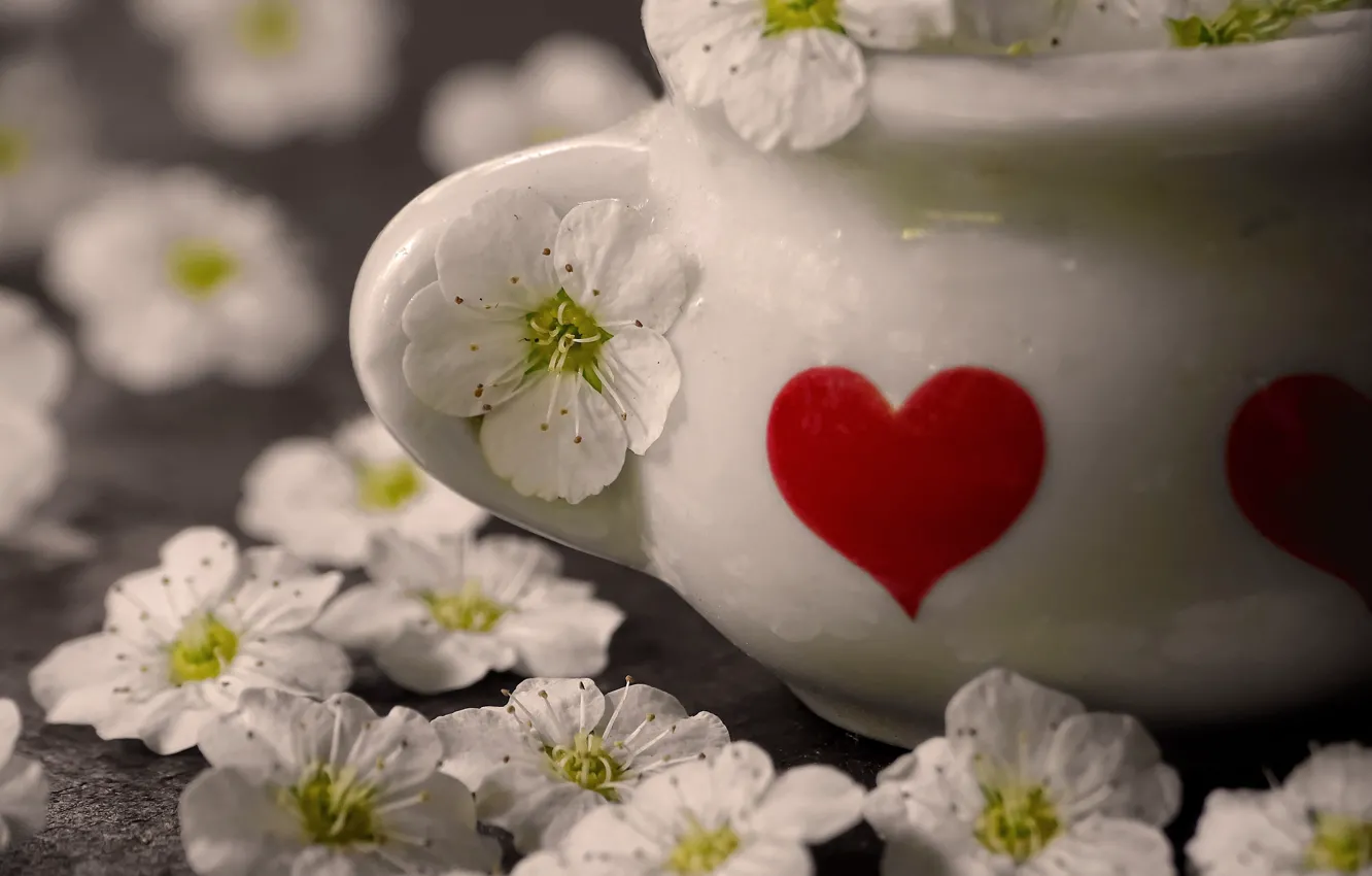 Photo wallpaper flowers, vase, heart
