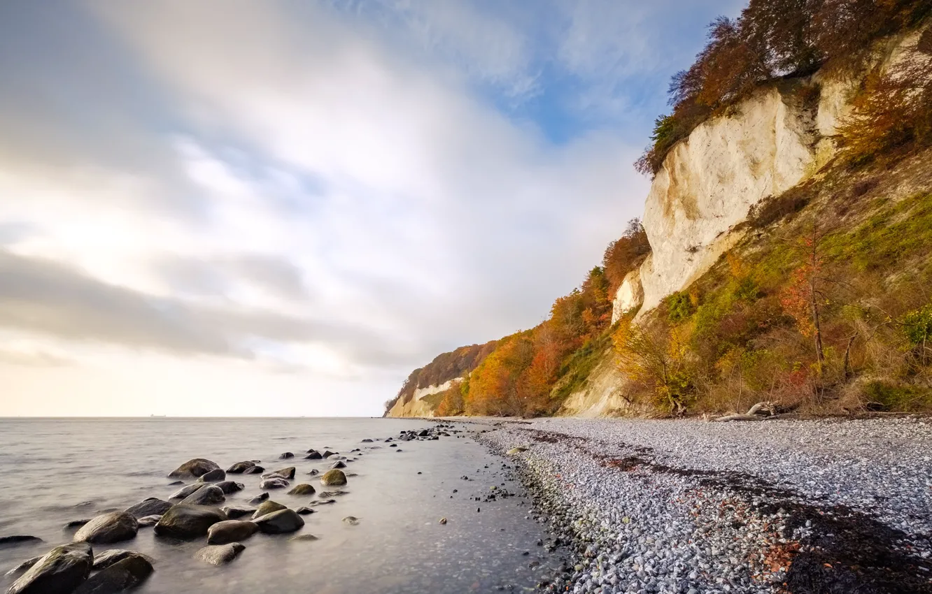Photo wallpaper autumn, beach, trees, pebbles, stones, rocks, shore, pond