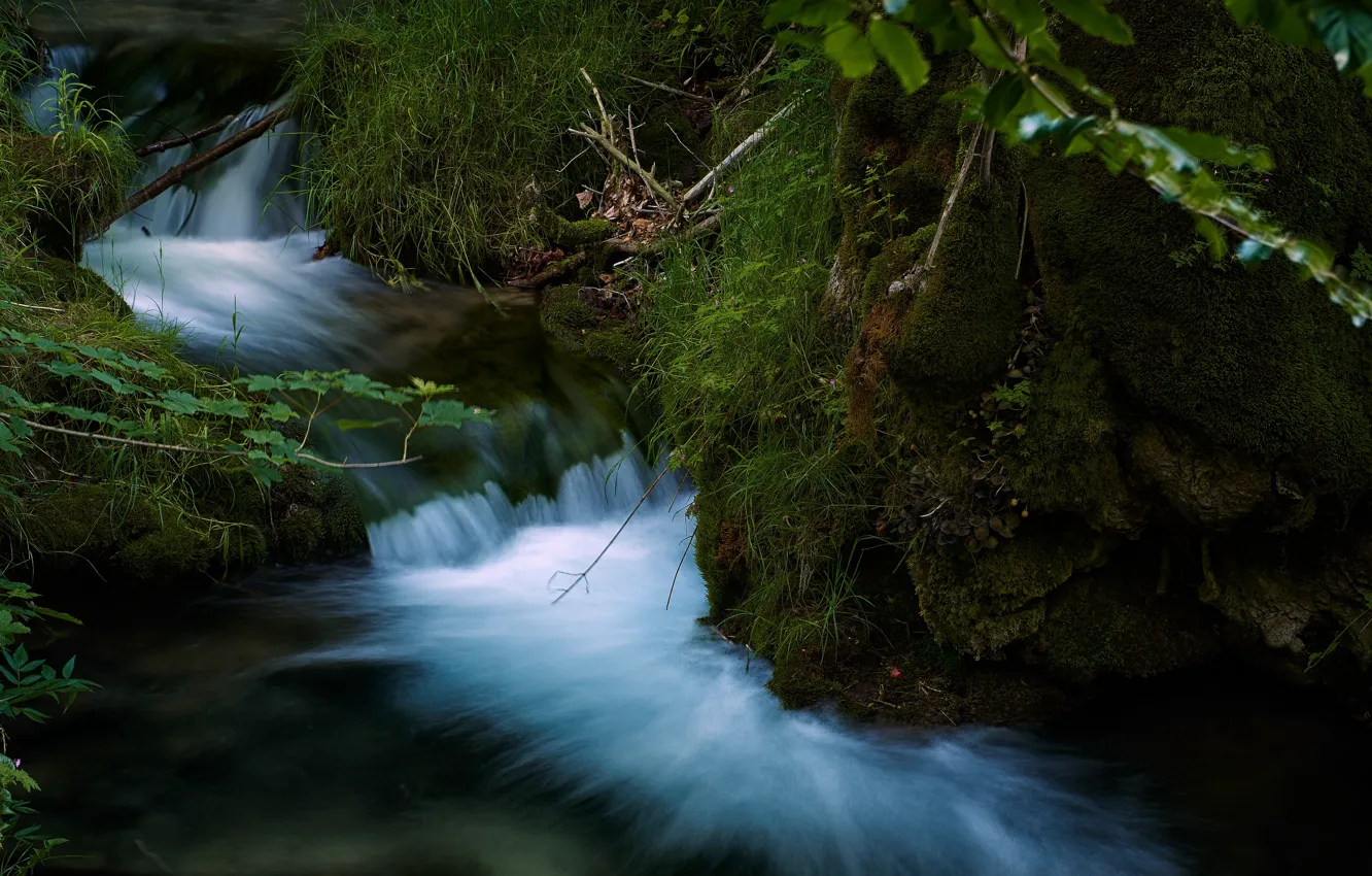 Photo wallpaper grass, nature, stream, stones, waterfall, moss