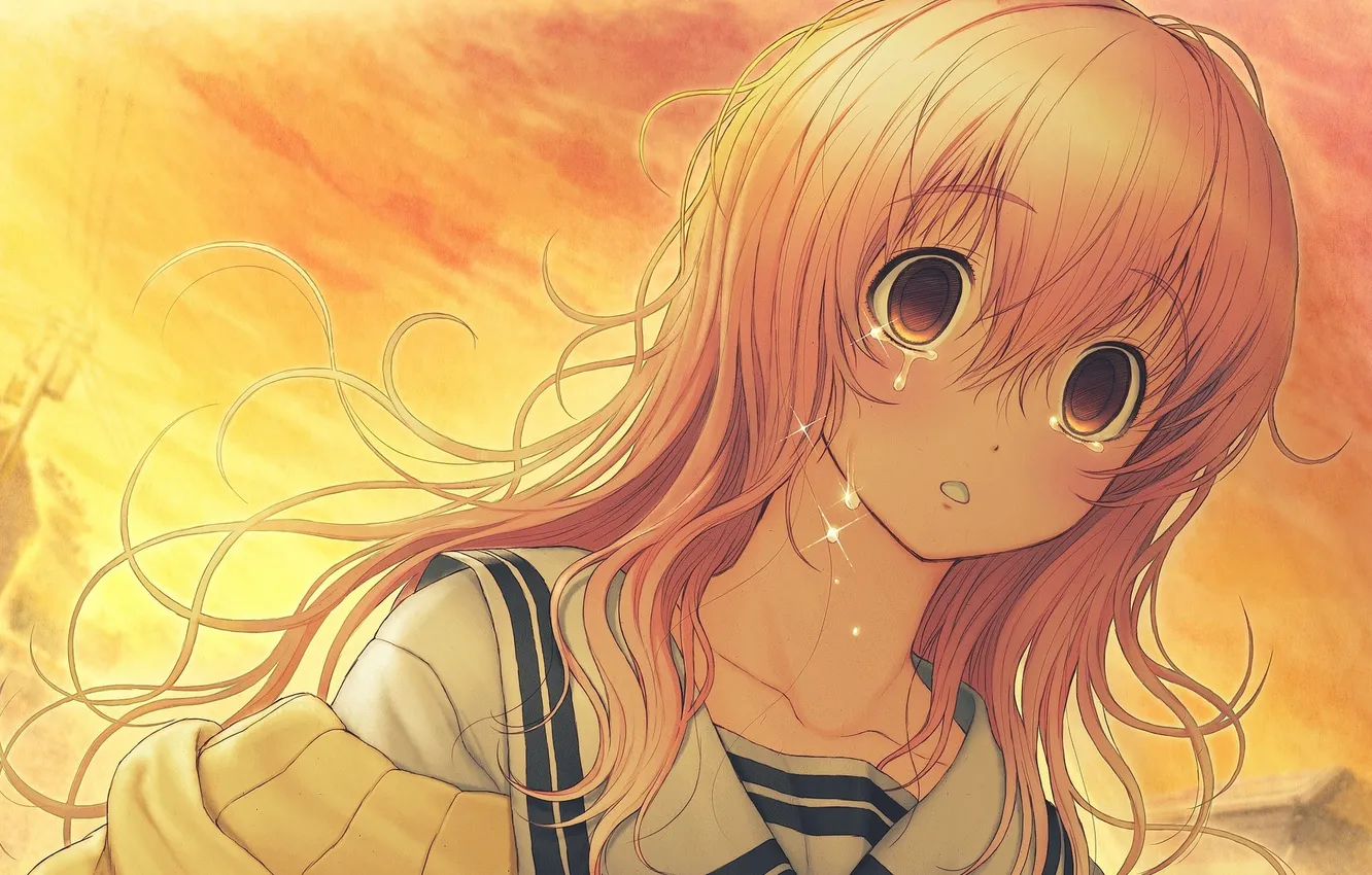 Photo wallpaper the sky, girl, clouds, sunset, the city, home, tears, art