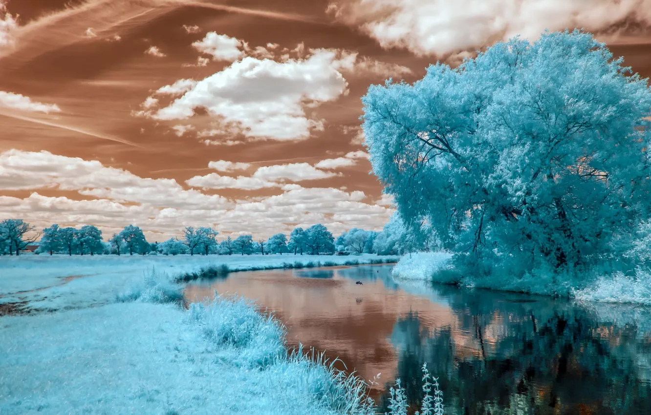 Photo wallpaper summer, landscape, river, color