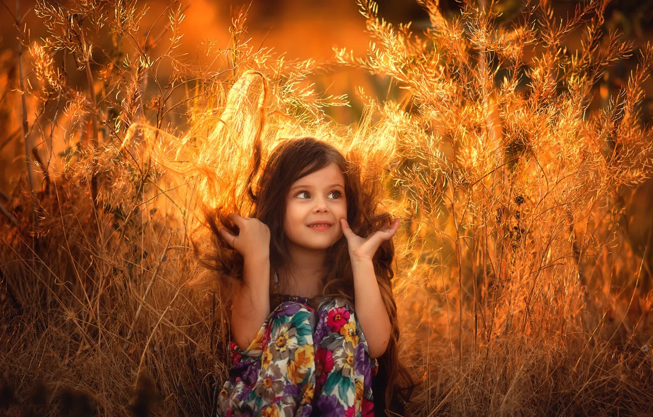 Photo wallpaper summer, grass, the sun, light, sunset, branches, nature, children