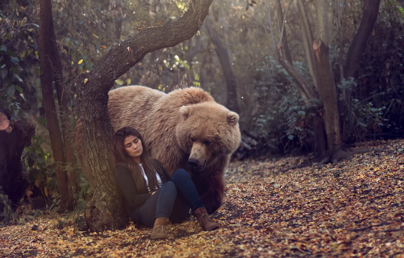 Photo wallpaper forest, girl, bear