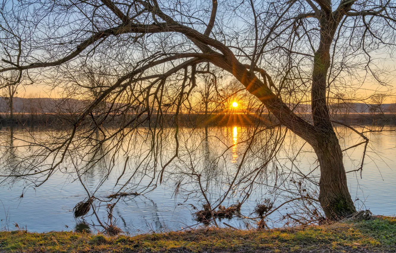 Photo wallpaper the sun, trees, sunset, river