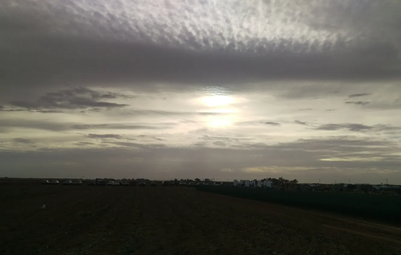 Photo wallpaper field, work, agronomy, chives