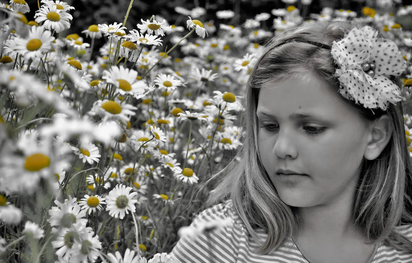 Photo wallpaper mood, chamomile, girl